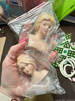 Both porcelain heads visible through plastic bag