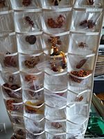 Hanging organizer showing numerous amber-tone jewelry pieces in clear pockets
