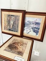 Three framed wildlife prints on shelf