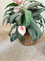 Full view of silk plant showing pink blooms, green leaves, wicker basket