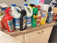 Full grouping of assorted bleach jugs, cleaners, aerosols and extinguisher
