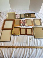 All frames laid out for overall view and count