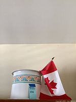 White ceramic planter with geometric band, saucer underneath, small Canadian flag