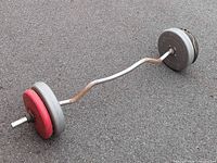 Full view of EZ curl bar assembled with plates
