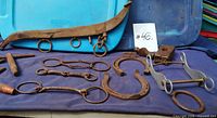 Overall shot showing all iron horse bits, horseshoes, branding iron head, curved strap and rod tools on blue bin