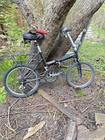 Left side view of folding bicycle leaning against tree with pump and chain on saddle