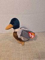 Full side view of Ty Jake mallard duck plush showing colors and tag