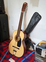 Full view of Tele-Star guitar standing with gig bag