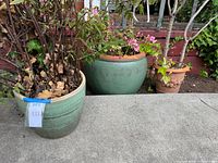 Three planters displayed: two green glazed ceramics and one terracotta, each with plants