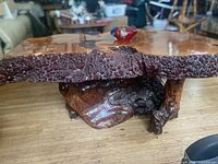Underside view highlighting sculpted root base