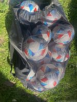 Mesh sack holding multiple Adidas Nativo 21 soccer balls