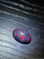 Top view of oval black opal showing multi-colour flashes