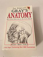 Front cover showing title, illustration, page count, authorship