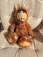 Front view of brown/tan ALF plush doll displaying size and condition