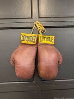 front view of both gloves showing Everlast patches and overall condition