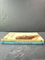 Spine view of both paperbacks showing titles and publisher numbers