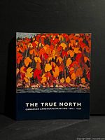 Front cover of hardcover book