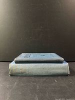 Two hardcover Renoir books stacked showing size difference and spines