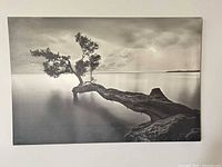 Front view of black and white landscape canvas print showing entire image and stretching