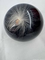 Oblique view of lucite orb showing embedded botanical burst