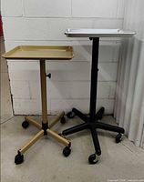Full view of both tray stands side by side
