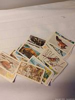 Pile of illustrated Red Rose Tea cards showing birds, duck, flowers