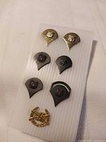 Front view of seven shield pins and one laurel wreath crossed-rifles pin on display board