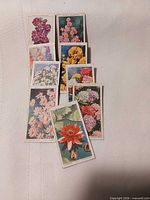 Nine Wills Garden Flowers cigarette cards laid out
