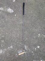 Full view of putter showing length, shaft, grip, and head