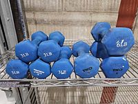 Eight blue neoprene hex dumbbells on shelf with visible 3, 5 and 6 lb markings