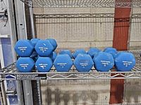 All eight blue neoprene dumbbells on wire rack