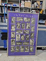 Full view of framed poster showing collage and frame
