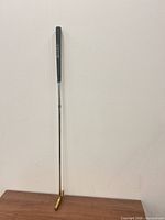 full length view of putter showing head, shaft and grip
