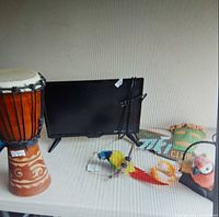 Group view of drum, monitor, parrots, Tiki sign