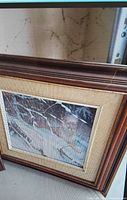 Lynx print in wood frame