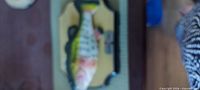 Buddy Fish largemouth bass plaque close-up