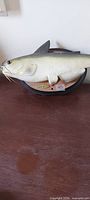 Catfish animated plaque front view