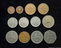 Obverse view showing all 12 coins laid out by denomination
