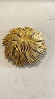 front view of Monet gold tone floral brooch