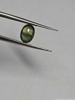 Oval green-yellow sapphire held in tweezers showing table and pavilion facets