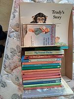 Stack of assorted juvenile books showing Trudy’s Story, Honey Bunch and multiple paperbacks