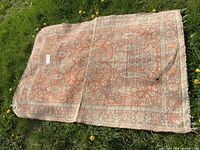 Full view of rust floral area rug on grass