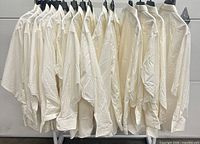 Row of fourteen white shirts on hangers