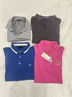 All four polo shirts laid out flat