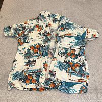 Full view of front and sleeves showing print and condition