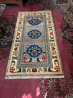 Full view of rug showing overall pattern and size
