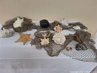 Full lot overview with shells, net, buoy, starfish