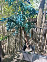 Full view artificial tree in planter