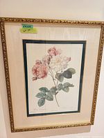 Front view of framed Rosa Damascena print in gold frame