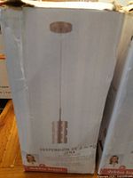 Single box close-up showing pendant light depiction and French labeling